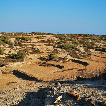 Cultivations in Gavdos island